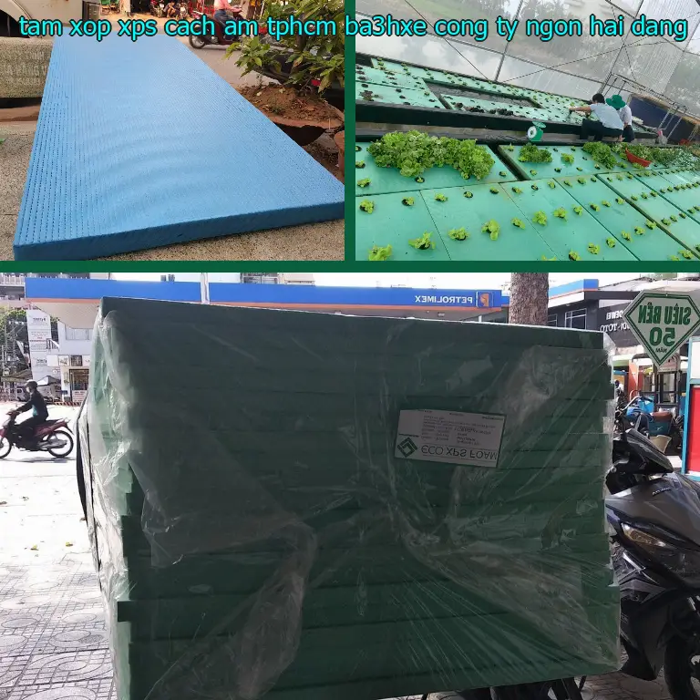 Nhà cung cấp tấm xốp XPS cách âm TpHCM BA3HXE: Công ty Ngọn Hải Đăng