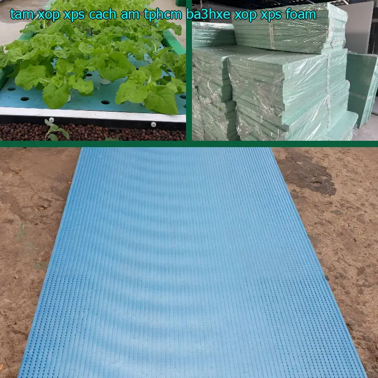 Danh mục tấm xốp XPS cách âm TpHCM BA3HXE: Xốp XPS Foam