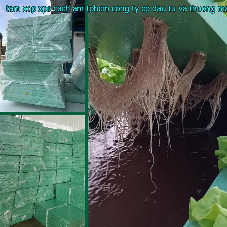 Tấm xốp XPS cách âm TpHCM Công ty CP đầu tư và thương mại AK Việt Nam