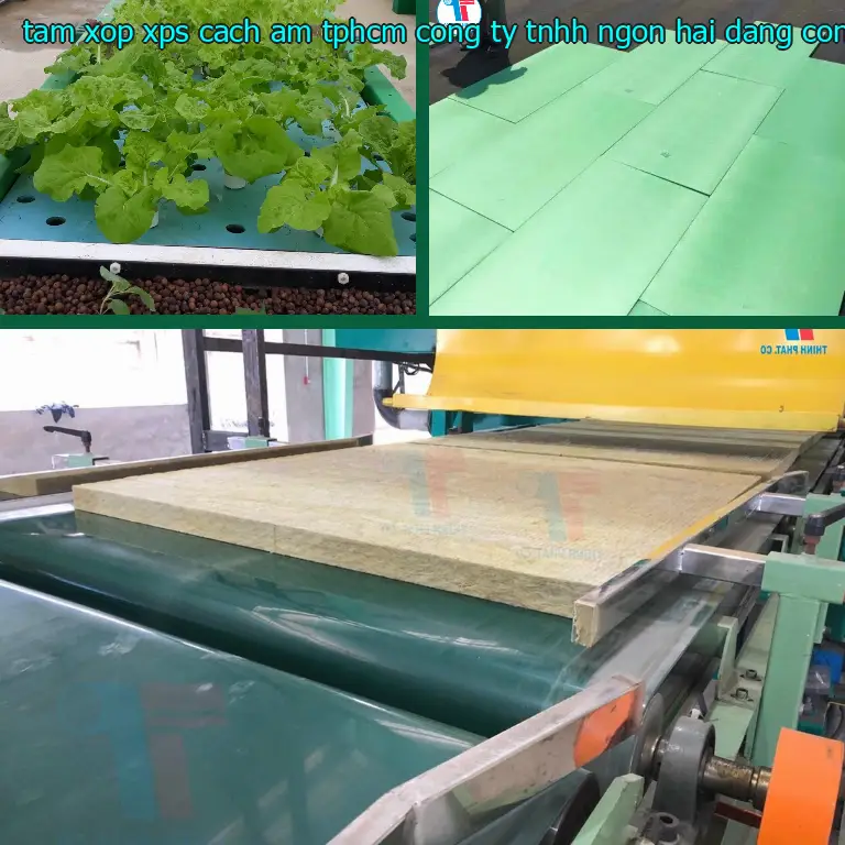 Nhà sản xuất tấm xốp XPS cách âm TpHCM Công ty TNHH Ngọn Hải Đăng: Công ty TNHH SX TM nhựa Tiến Phong Nhà sản xuất tấm xốp XPS cách âm TpHCM Công ty TNHH Ngọn Hải Đăng: Công ty TNHH SX TM nhựa Tiến Phong