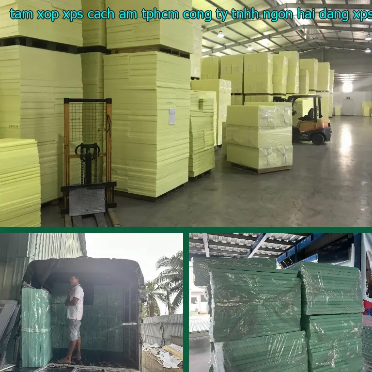 Danh mục tấm xốp XPS cách âm TpHCM Công ty TNHH Ngọn Hải Đăng: XPS Foam Board Danh mục tấm xốp XPS cách âm TpHCM Công ty TNHH Ngọn Hải Đăng: XPS Foam Board