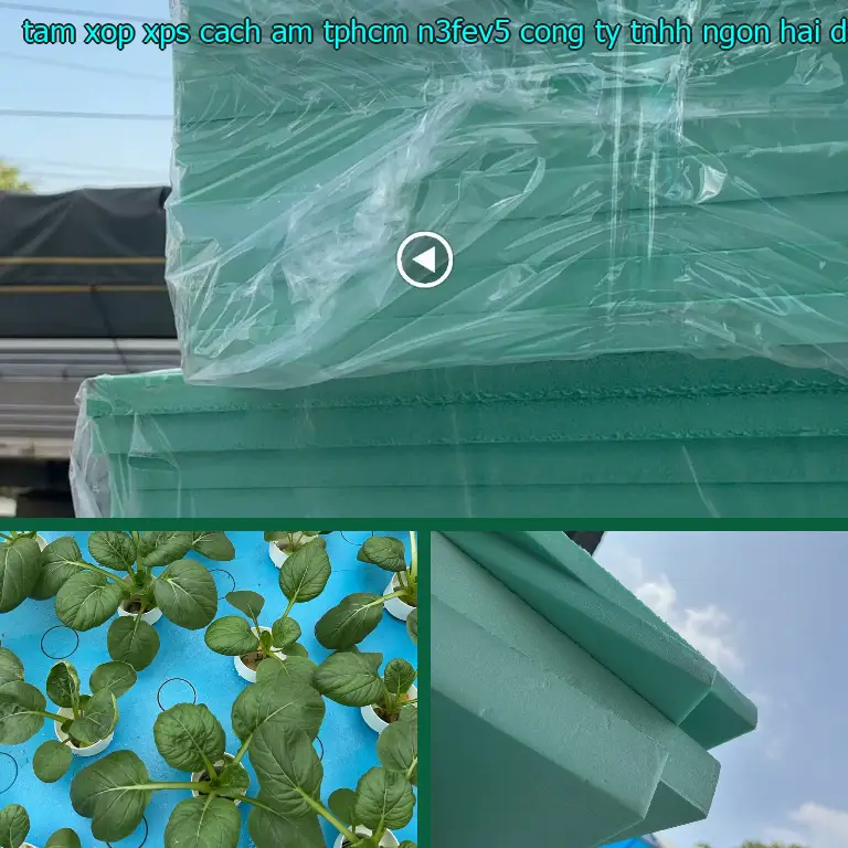 Nhà cung cấp tấm xốp XPS cách âm TpHCM N3FEV5: Công ty TNHH Ngọn Hải Đăng Nhà cung cấp tấm xốp XPS cách âm TpHCM N3FEV5: Công ty TNHH Ngọn Hải Đăng