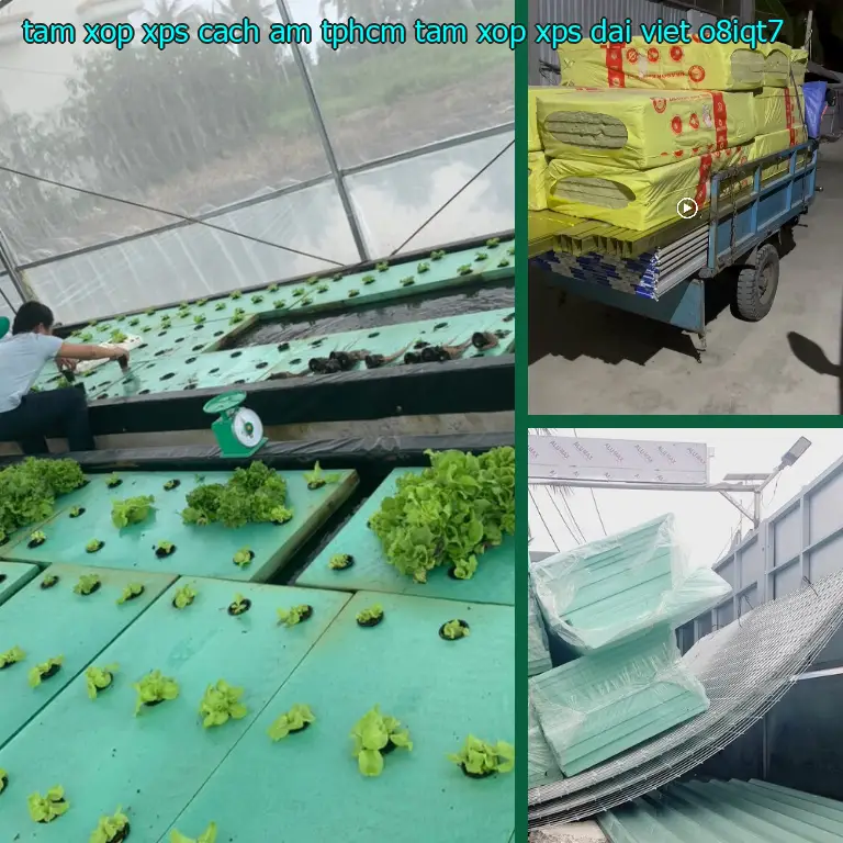 Model tấm xốp XPS cách âm TpHCM Tấm xốp XPS Đại Việt: O8IQT7 Model tấm xốp XPS cách âm TpHCM Tấm xốp XPS Đại Việt: O8IQT7