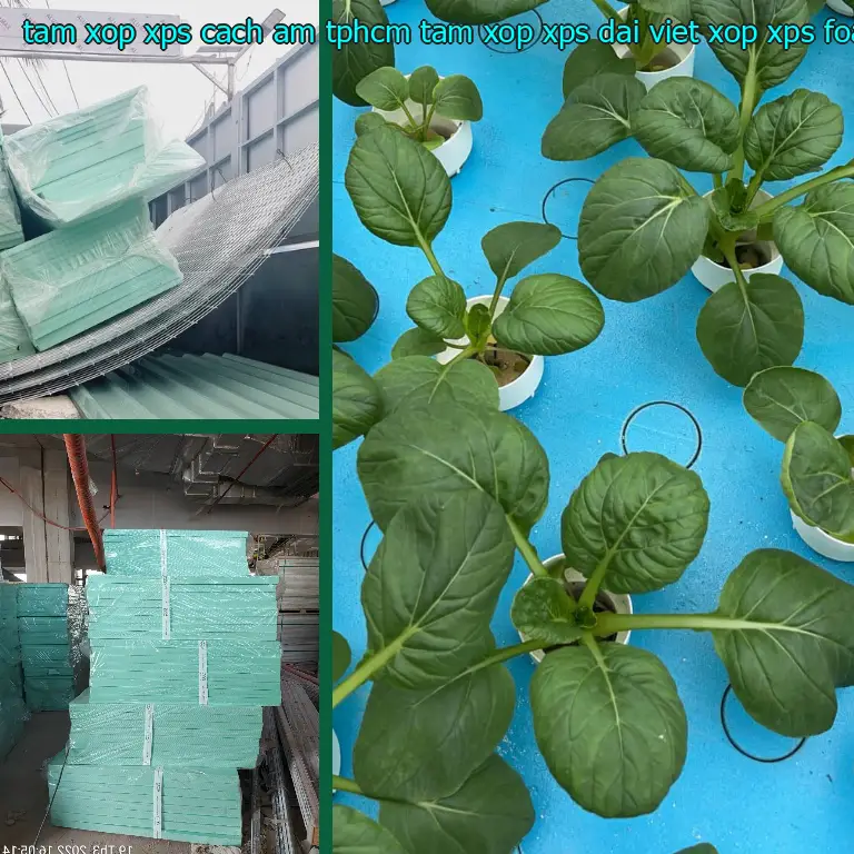 Danh mục tấm xốp XPS cách âm TpHCM Tấm xốp XPS Đại Việt: Xốp XPS Foam Danh mục tấm xốp XPS cách âm TpHCM Tấm xốp XPS Đại Việt: Xốp XPS Foam