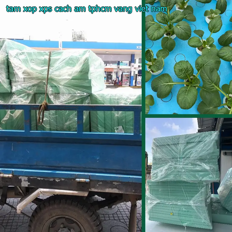 Xuất xứ tấm xốp XPS cách âm TpHCM Vàng: Viet Nam