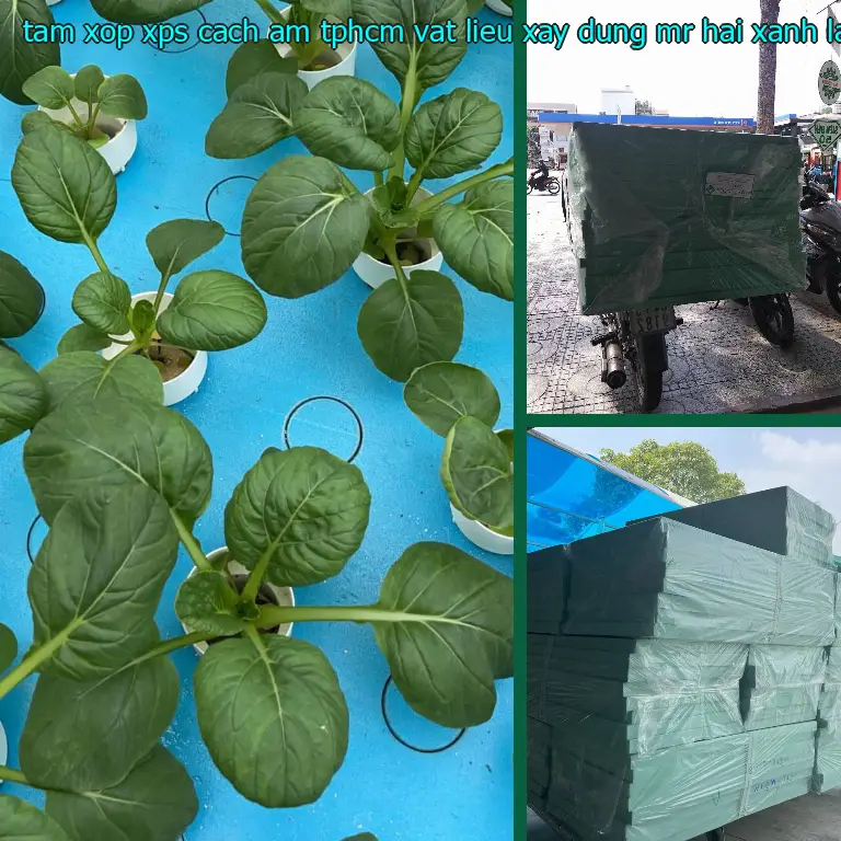 Màu sắc tấm xốp XPS cách âm TpHCM Vật Liệu Xây Dựng Mr.HẢI: Xanh lá Màu sắc tấm xốp XPS cách âm TpHCM Vật Liệu Xây Dựng Mr.HẢI: Xanh lá