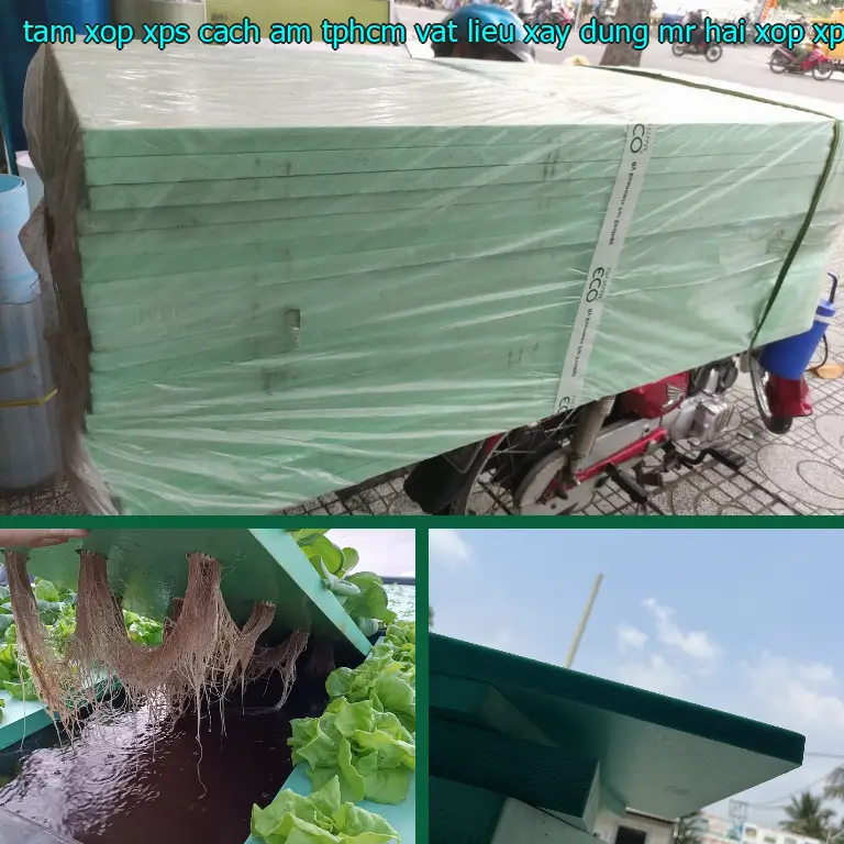 Danh mục tấm xốp XPS cách âm TpHCM Vật Liệu Xây Dựng Mr.HẢI: Xốp XPS Foam Danh mục tấm xốp XPS cách âm TpHCM Vật Liệu Xây Dựng Mr.HẢI: Xốp XPS Foam