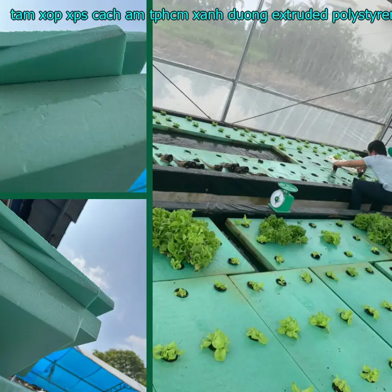 Chất liệu tấm xốp XPS cách âm TpHCM Xanh dương: Extruded Polystyrene Foam