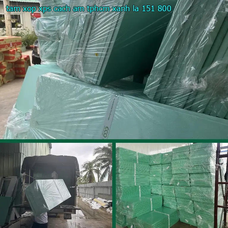 Giá tấm xốp XPS cách âm TpHCM Xanh lá: 151.800₫ Giá tấm xốp XPS cách âm TpHCM Xanh lá: 151.800₫