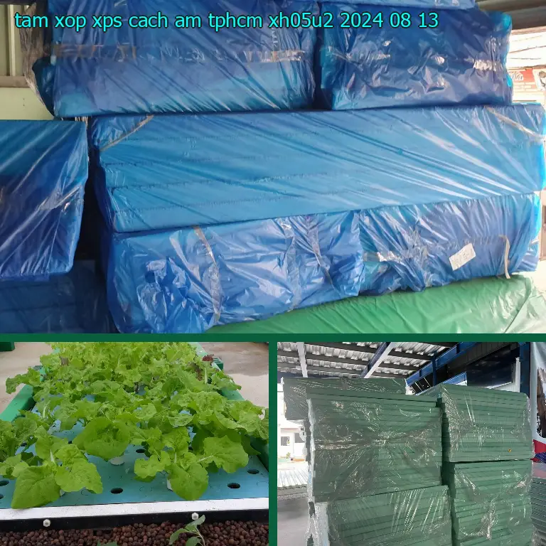 Ngày sản xuất tấm xốp XPS cách âm TpHCM XH05U2: 2024-08-13 Ngày sản xuất tấm xốp XPS cách âm TpHCM XH05U2: 2024-08-13