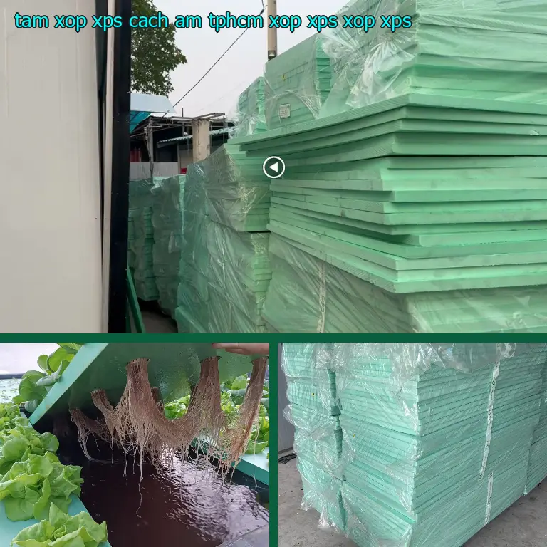 Danh mục tấm xốp XPS cách âm TpHCM Xốp XPS: Xốp XPS Danh mục tấm xốp XPS cách âm TpHCM Xốp XPS: Xốp XPS