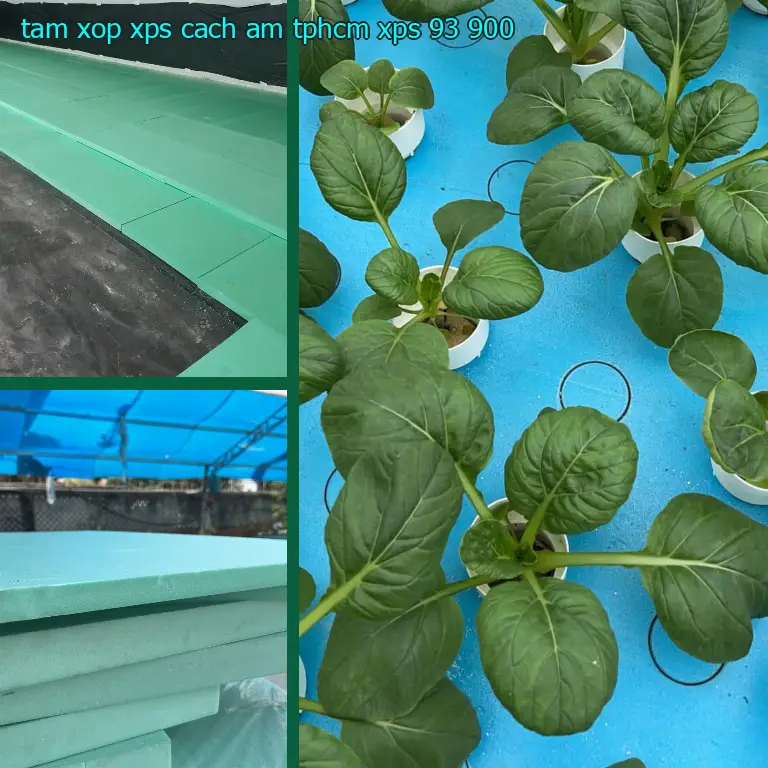 Đơn giá tấm xốp XPS cách âm TpHCM XPS: 93.900₫