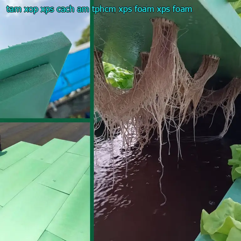 Danh mục tấm xốp XPS cách âm TpHCM XPS Foam: XPS Foam Danh mục tấm xốp XPS cách âm TpHCM XPS Foam: XPS Foam