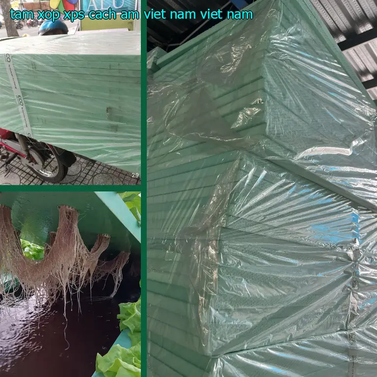 Xuất xứ tấm xốp XPS cách âm Viet Nam: Viet Nam Xuất xứ tấm xốp XPS cách âm Viet Nam: Viet Nam