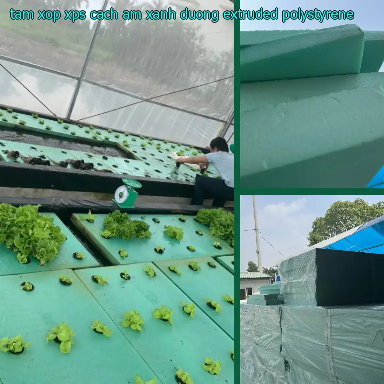 Chất liệu tấm xốp XPS cách âm Xanh dương: Extruded Polystyrene Chất liệu tấm xốp XPS cách âm Xanh dương: Extruded Polystyrene