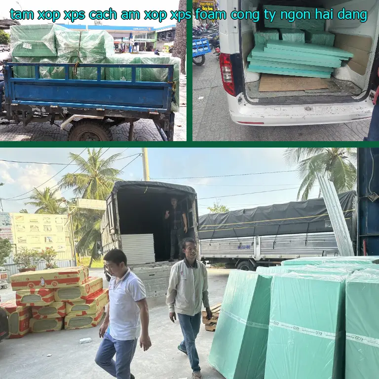 Nhà cung cấp tấm xốp XPS cách âm Xốp XPS Foam: Công ty Ngọn Hải Đăng Nhà cung cấp tấm xốp XPS cách âm Xốp XPS Foam: Công ty Ngọn Hải Đăng