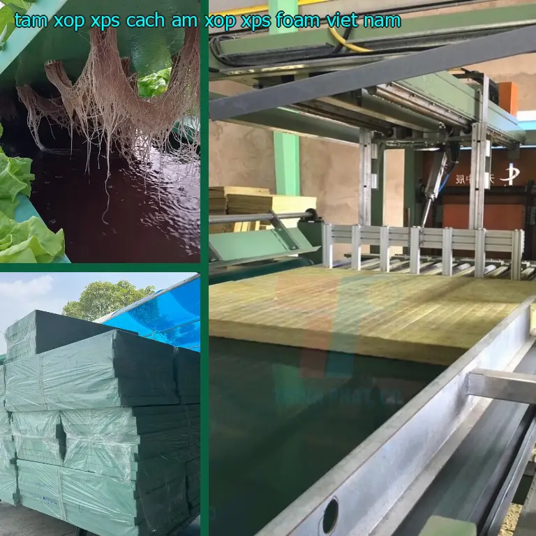 Xuất xứ tấm xốp XPS cách âm Xốp XPS Foam: Việt Nam Xuất xứ tấm xốp XPS cách âm Xốp XPS Foam: Việt Nam