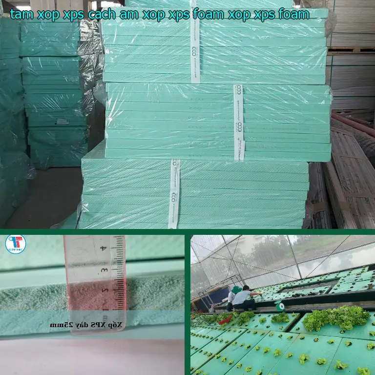 Danh mục tấm xốp XPS cách âm Xốp XPS Foam: Xốp XPS Foam Danh mục tấm xốp XPS cách âm Xốp XPS Foam: Xốp XPS Foam