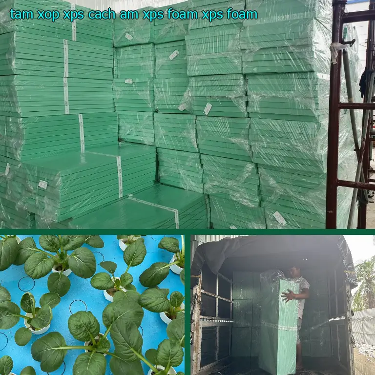 Danh mục tấm xốp XPS cách âm XPS Foam: XPS Foam