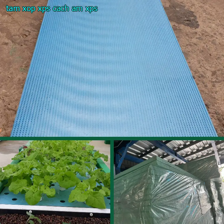 Tấm xốp XPS cách âm XPS