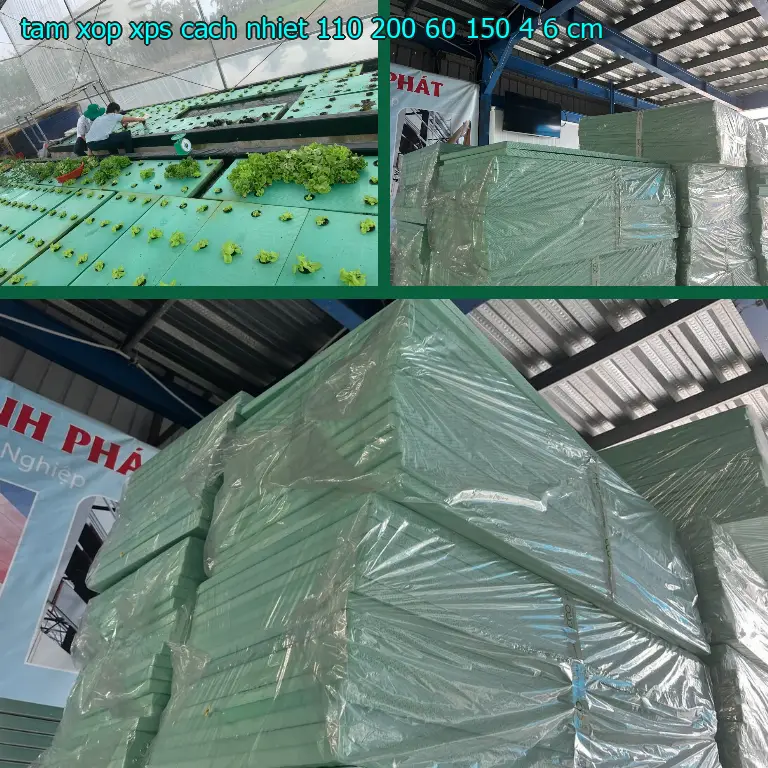 Kích thước tấm xốp XPS cách nhiệt 110.200₫: 60*150*4.6 cm Kích thước tấm xốp XPS cách nhiệt 110.200₫: 60*150*4.6 cm