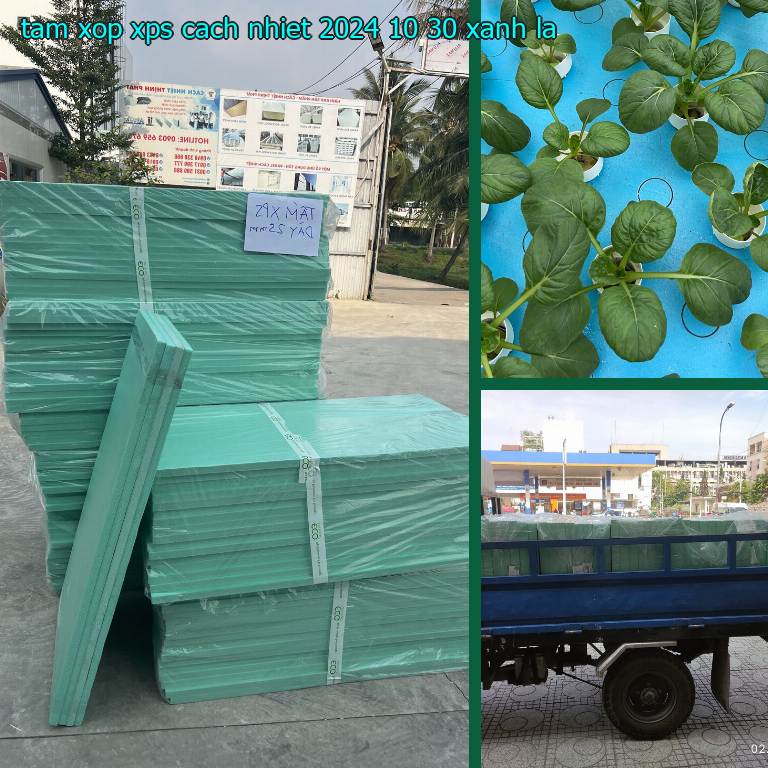 Màu sắc tấm xốp XPS cách nhiệt 2024-10-30: Xanh lá