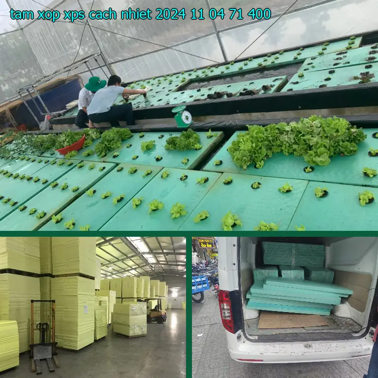 Giá tấm xốp XPS cách nhiệt 2024-11-04: 71.400₫