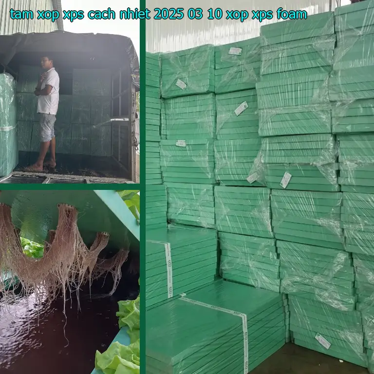 Danh mục tấm xốp XPS cách nhiệt 2025-03-10: Xốp XPS Foam Danh mục tấm xốp XPS cách nhiệt 2025-03-10: Xốp XPS Foam