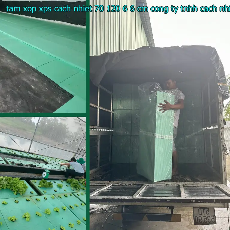 Nhà sản xuất tấm xốp XPS cách nhiệt 70*120*6.6 cm: Công ty TNHH cách nhiệt Thịnh Phát Nhà sản xuất tấm xốp XPS cách nhiệt 70*120*6.6 cm: Công ty TNHH cách nhiệt Thịnh Phát