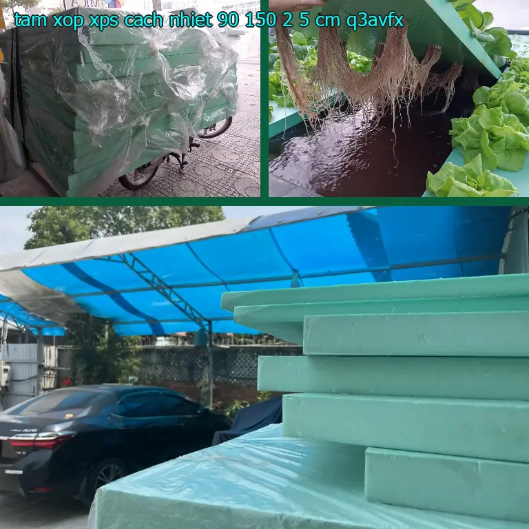 Model tấm xốp XPS cách nhiệt 90*150*2.5 cm: Q3AVFX Model tấm xốp XPS cách nhiệt 90*150*2.5 cm: Q3AVFX