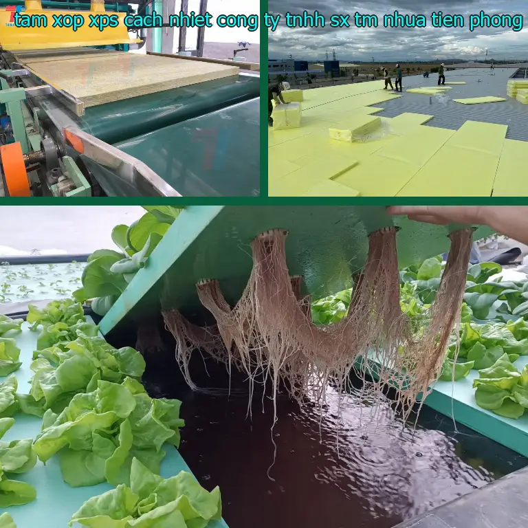 Nhà sản xuất tấm xốp XPS cách nhiệt Công ty TNHH SX TM nhựa Tiến Phong: Công ty TNHH SX TM nhựa Tiến Phong