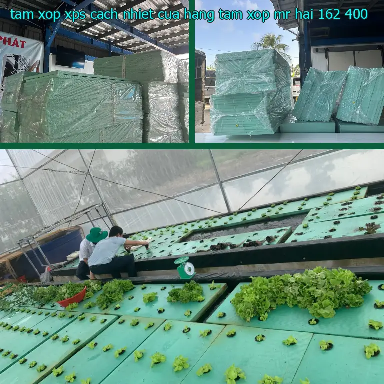 Giá tấm xốp XPS cách nhiệt Cửa hàng tấm xốp Mr.HẢI: 162.400₫ Giá tấm xốp XPS cách nhiệt Cửa hàng tấm xốp Mr.HẢI: 162.400₫