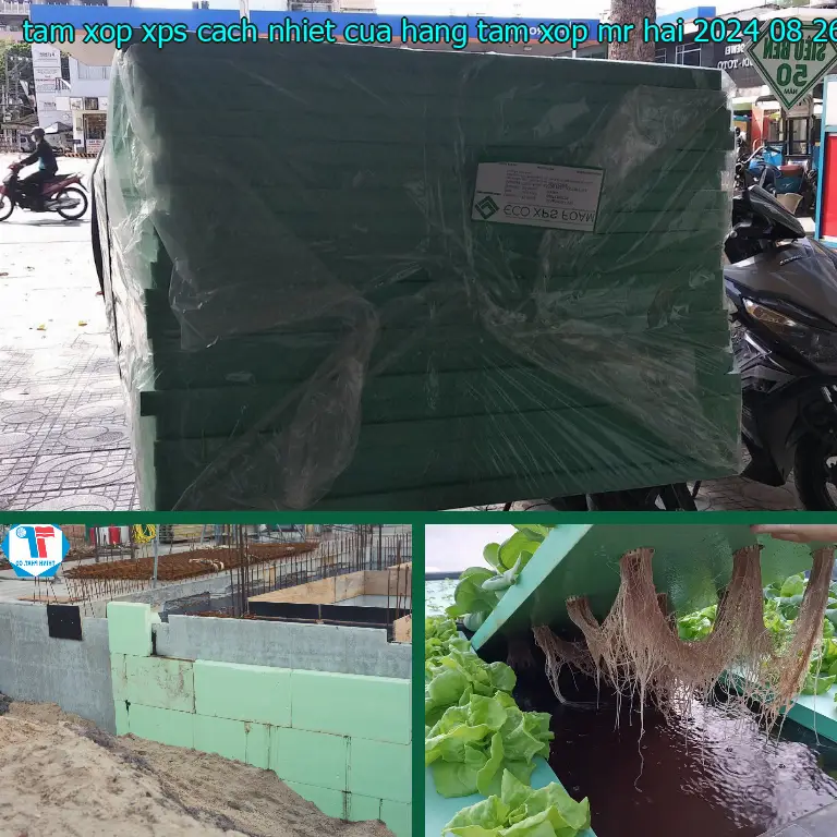Ngày sản xuất tấm xốp XPS cách nhiệt Cửa hàng tấm xốp Mr.HẢI: 2024-08-26 Ngày sản xuất tấm xốp XPS cách nhiệt Cửa hàng tấm xốp Mr.HẢI: 2024-08-26