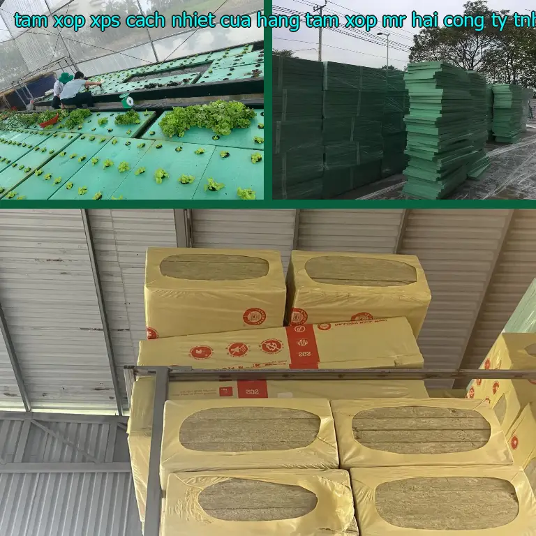 Nhà sản xuất tấm xốp XPS cách nhiệt Cửa hàng tấm xốp Mr.HẢI: Công ty TNHH cách nhiệt King Panel Nhà sản xuất tấm xốp XPS cách nhiệt Cửa hàng tấm xốp Mr.HẢI: Công ty TNHH cách nhiệt King Panel