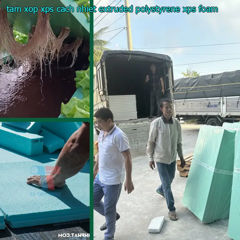 Danh mục tấm xốp XPS cách nhiệt Extruded Polystyrene: XPS Foam