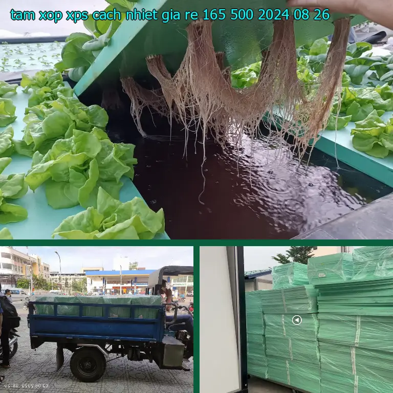 Ngày sản xuất tấm xốp XPS cách nhiệt giá rẻ 165.500₫: 2024-08-26
