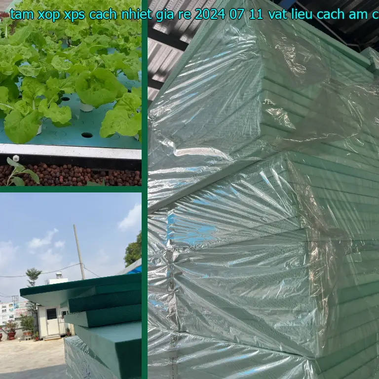 Nhà sản xuất tấm xốp XPS cách nhiệt giá rẻ 2024-07-11: Vật liệu cách âm cách nhiệt Cát Tường Nhà sản xuất tấm xốp XPS cách nhiệt giá rẻ 2024-07-11: Vật liệu cách âm cách nhiệt Cát Tường
