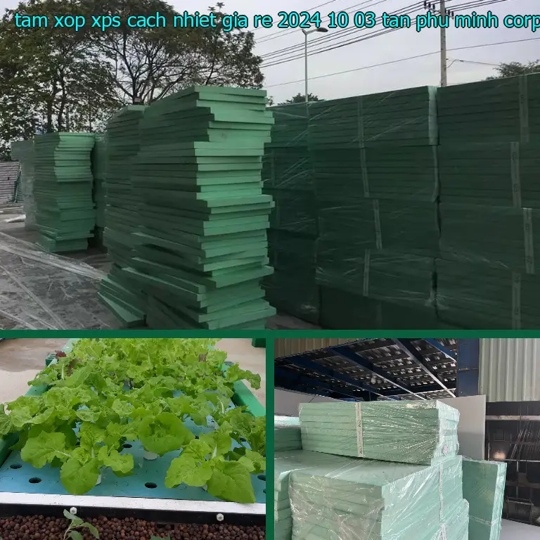 Nhà sản xuất tấm xốp XPS cách nhiệt giá rẻ 2024-10-03: Tân Phú Minh Corp Nhà sản xuất tấm xốp XPS cách nhiệt giá rẻ 2024-10-03: Tân Phú Minh Corp