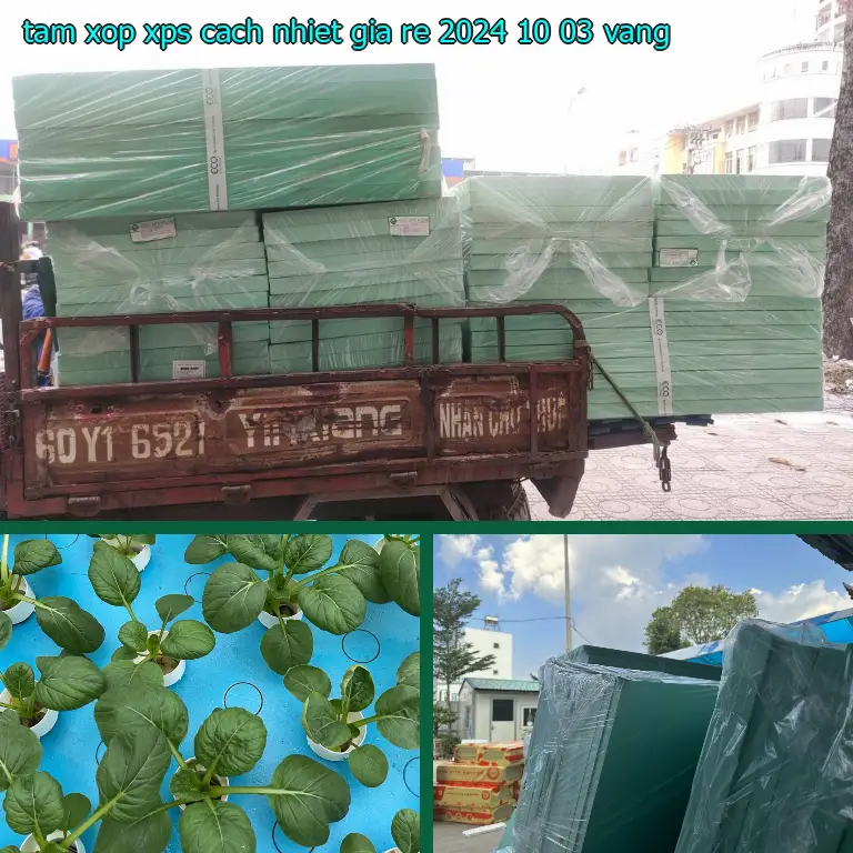 Màu sắc tấm xốp XPS cách nhiệt giá rẻ 2024-10-03: Vàng Màu sắc tấm xốp XPS cách nhiệt giá rẻ 2024-10-03: Vàng