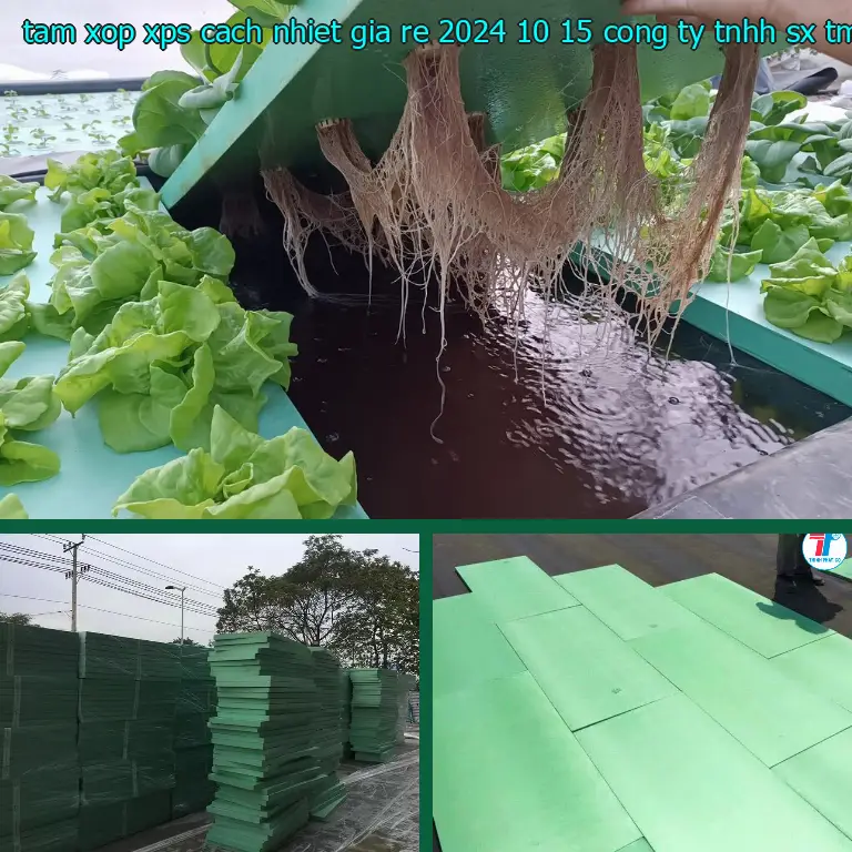 Nhà sản xuất tấm xốp XPS cách nhiệt giá rẻ 2024-10-15: Công ty TNHH SX TM nhựa Tiến Phong