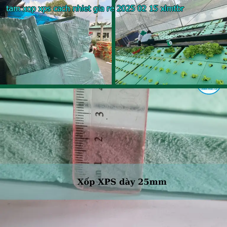 Model tấm xốp XPS cách nhiệt giá rẻ 2025-02-15: XLMTBR