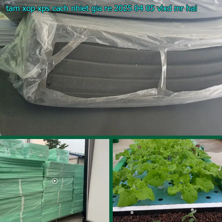 Nhà cung cấp tấm xốp XPS cách nhiệt giá rẻ 2025-04-05: VLXD Mr.HẢI Nhà cung cấp tấm xốp XPS cách nhiệt giá rẻ 2025-04-05: VLXD Mr.HẢI