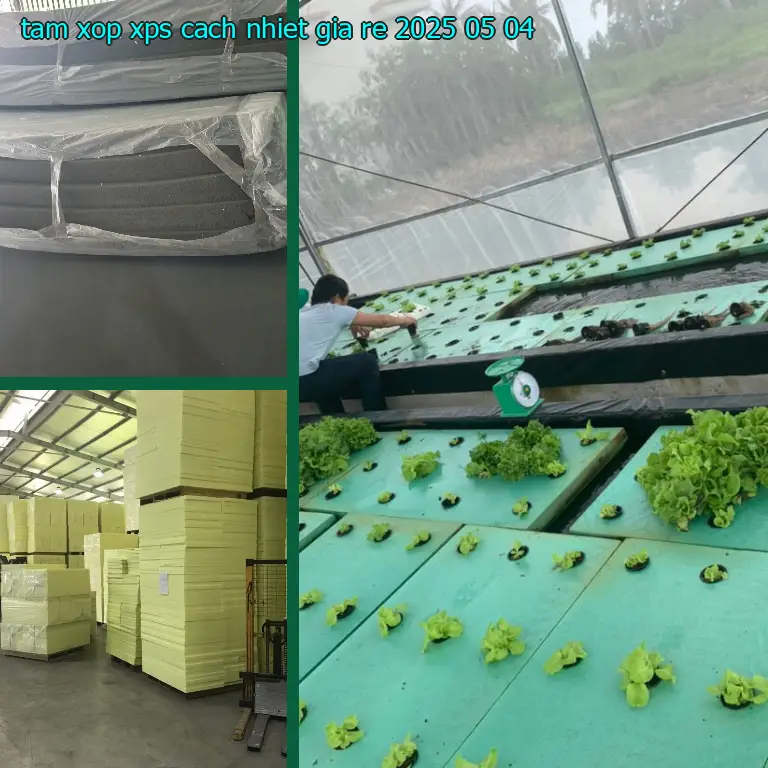 Tấm xốp XPS cách nhiệt giá rẻ 2025-05-04