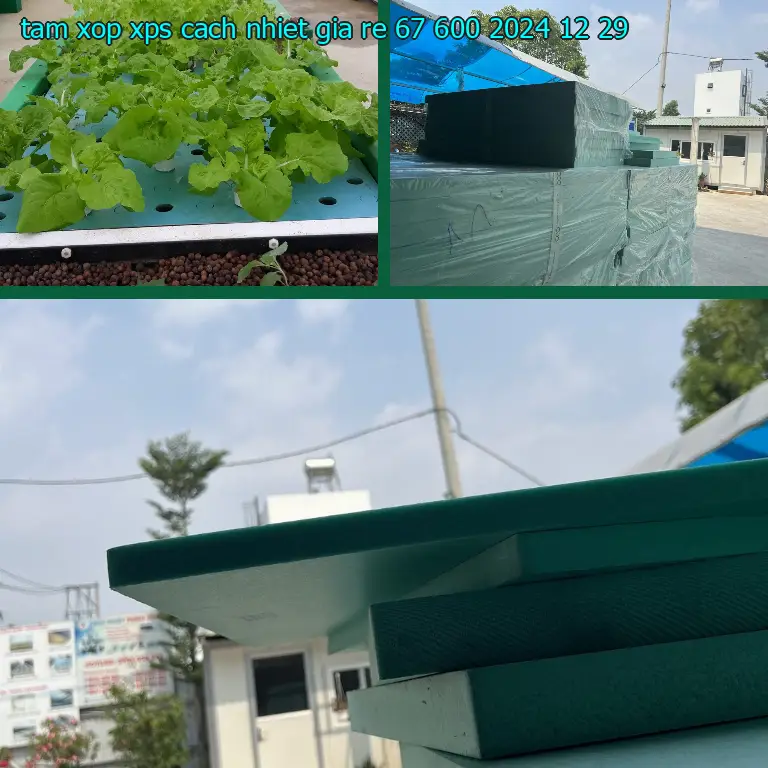 Ngày sản xuất tấm xốp XPS cách nhiệt giá rẻ 67.600₫: 2024-12-29 Ngày sản xuất tấm xốp XPS cách nhiệt giá rẻ 67.600₫: 2024-12-29