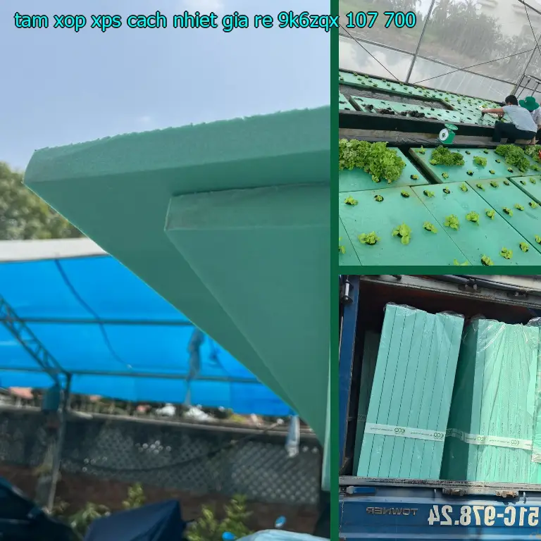 Giá tấm xốp XPS cách nhiệt giá rẻ 9K6ZQX: 107.700₫ Giá tấm xốp XPS cách nhiệt giá rẻ 9K6ZQX: 107.700₫
