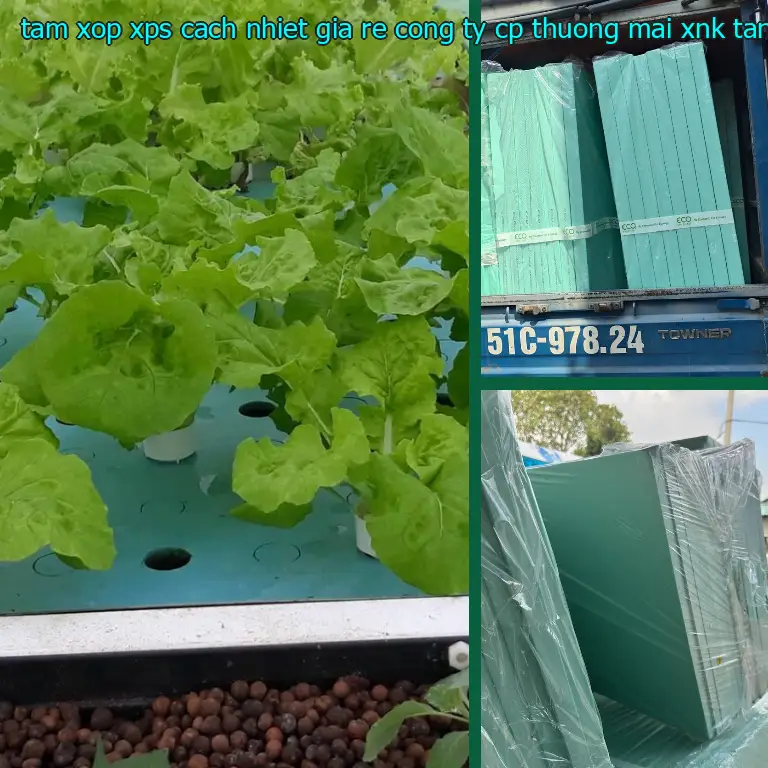 Nhà sản xuất tấm xốp XPS cách nhiệt giá rẻ Công ty CP thương mại XNK Tân Phú Bình: Công ty CP thương mại XNK Tân Phú Bình