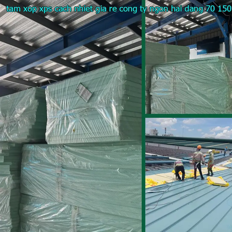 Kích thước tấm xốp XPS cách nhiệt giá rẻ Công ty Ngọn Hải Đăng: 70*150*6.2 cm Kích thước tấm xốp XPS cách nhiệt giá rẻ Công ty Ngọn Hải Đăng: 70*150*6.2 cm