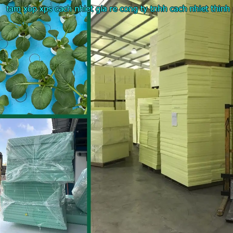 Kích thước tấm xốp XPS cách nhiệt giá rẻ Công ty TNHH cách nhiệt Thịnh Phát: 80*180*7.0 cm