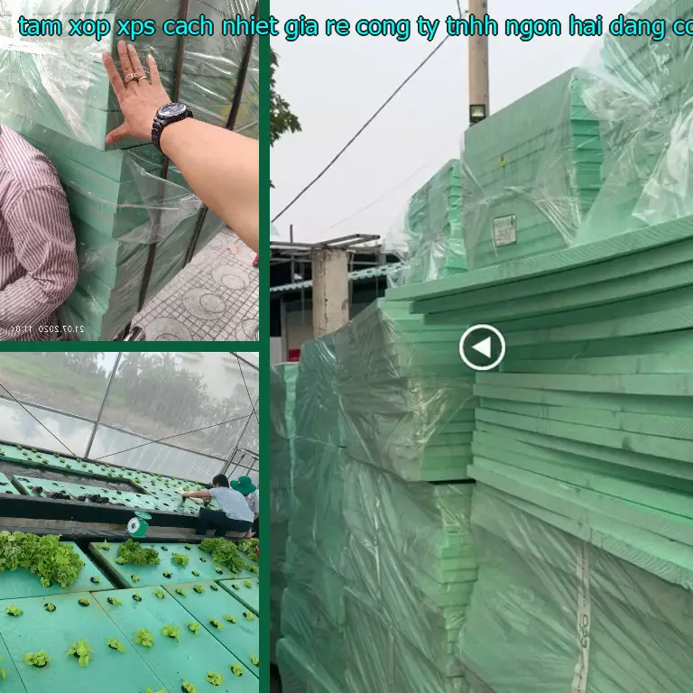 Nhà sản xuất tấm xốp XPS cách nhiệt giá rẻ Công ty TNHH Ngọn Hải Đăng: Công ty TNHH SX TM nhựa Tiến Phong Nhà sản xuất tấm xốp XPS cách nhiệt giá rẻ Công ty TNHH Ngọn Hải Đăng: Công ty TNHH SX TM nhựa Tiến Phong