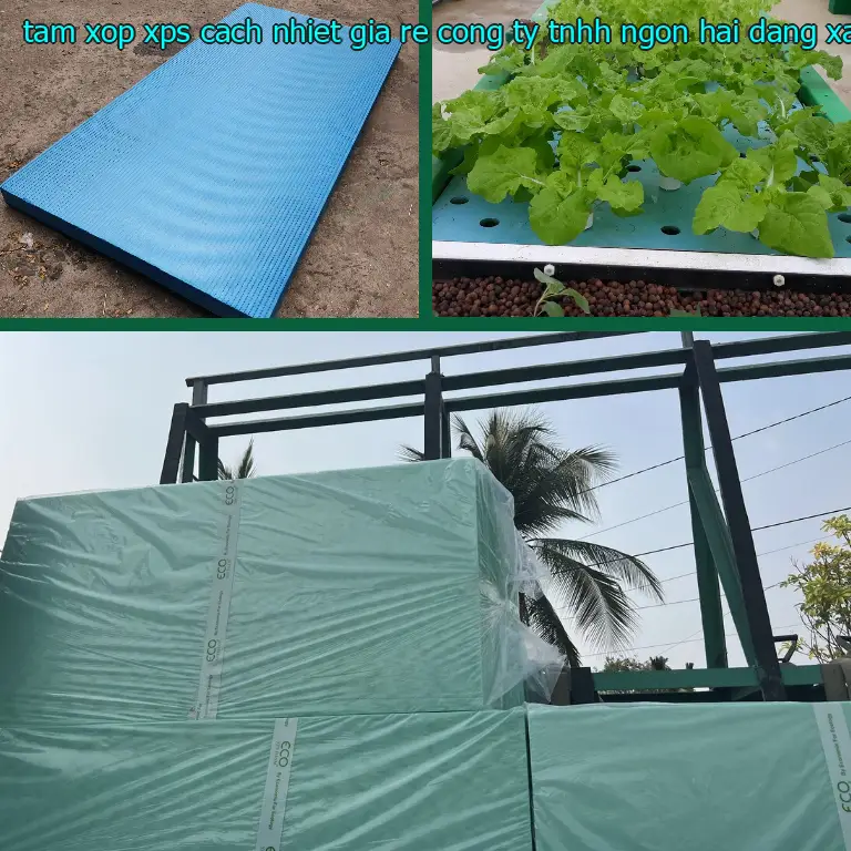 Màu sắc tấm xốp XPS cách nhiệt giá rẻ Công ty TNHH Ngọn Hải Đăng: Xanh lá Màu sắc tấm xốp XPS cách nhiệt giá rẻ Công ty TNHH Ngọn Hải Đăng: Xanh lá